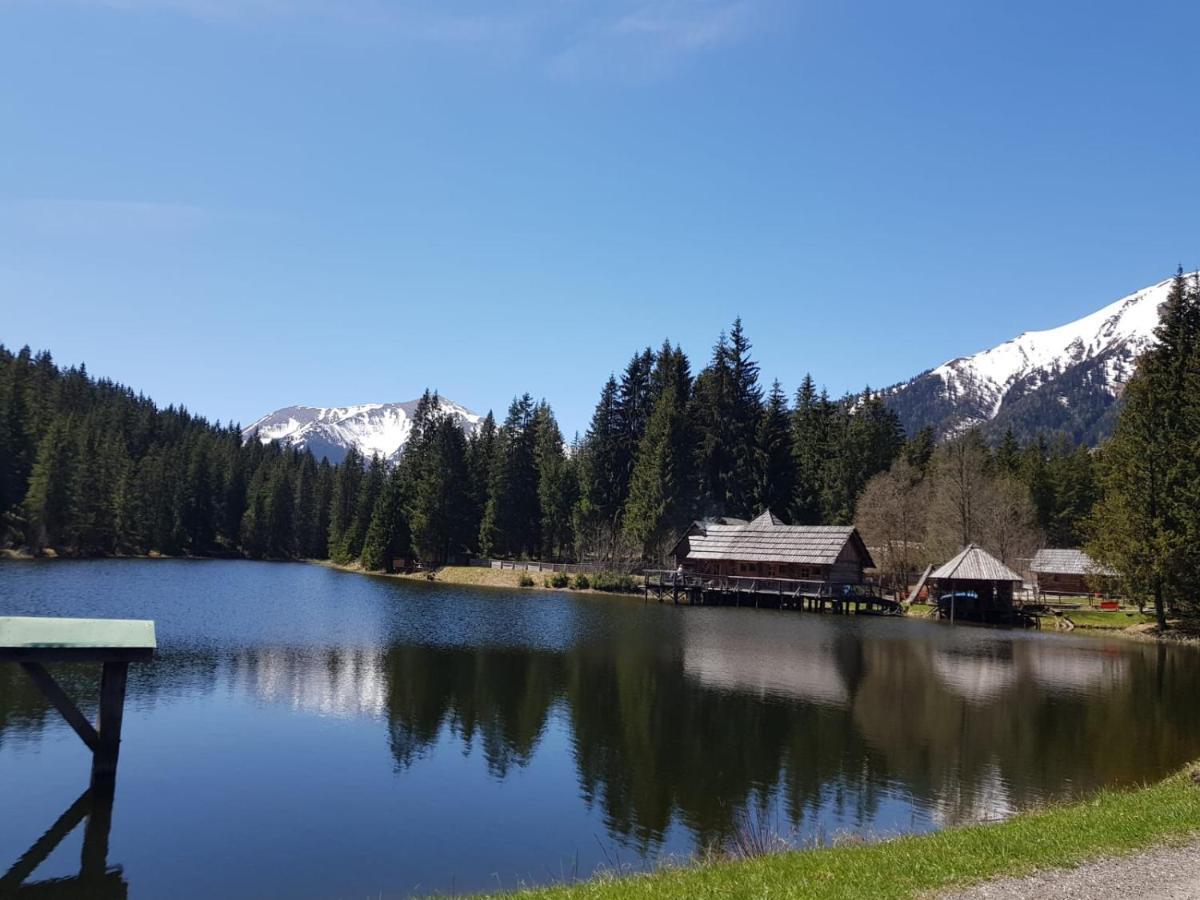 Milena-Huette Villa Hohentauern Bagian luar foto